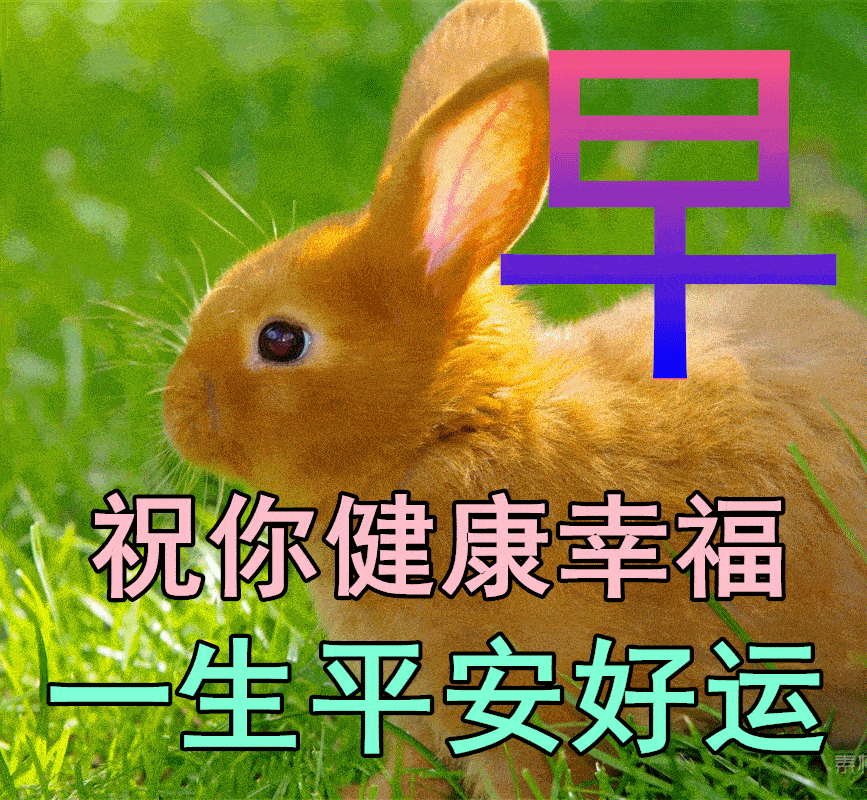 早安动态精美图片 2022最新早上好问候语图片_朋友_祝福_心情