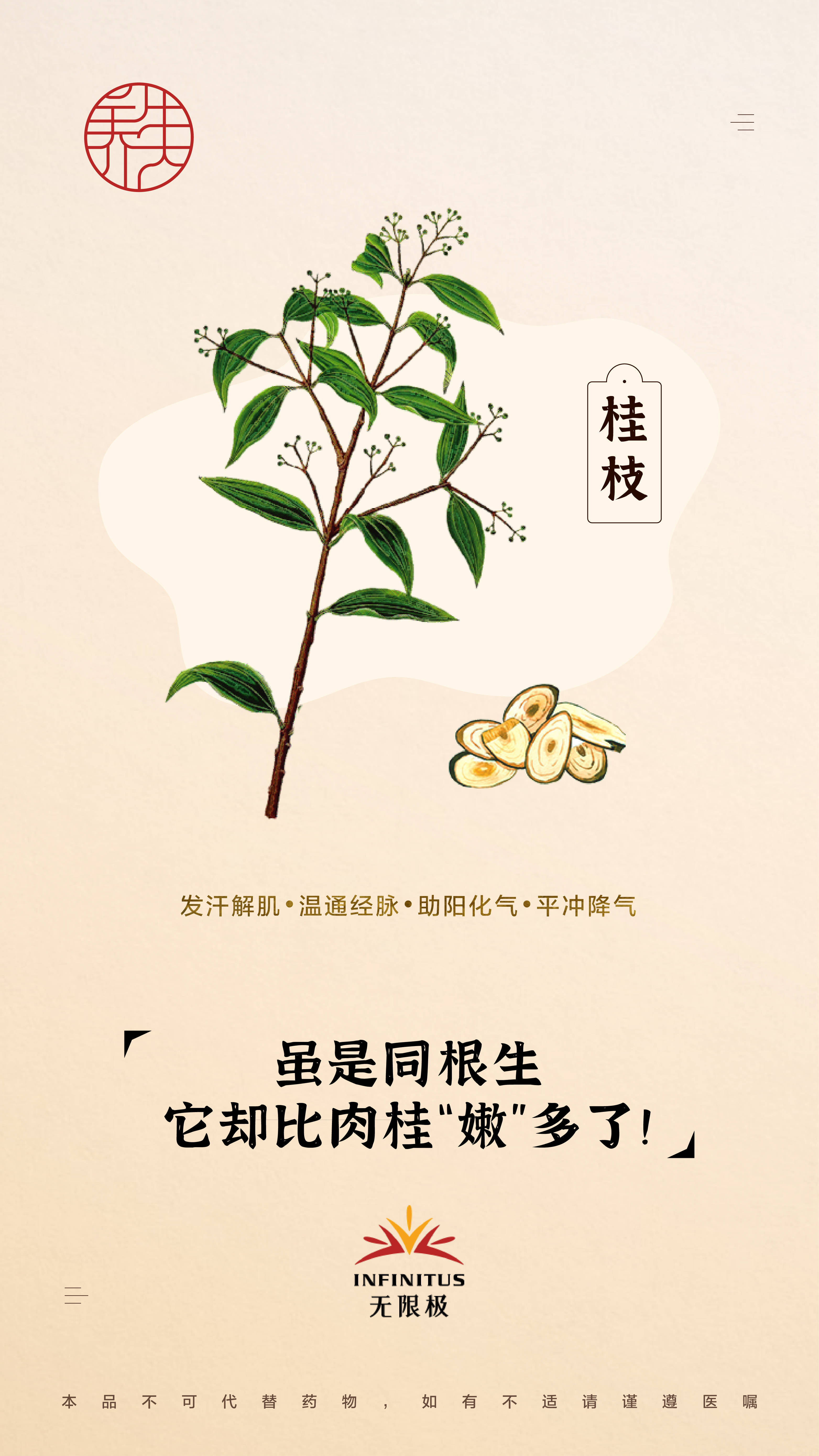 桂枝_功效_中草药