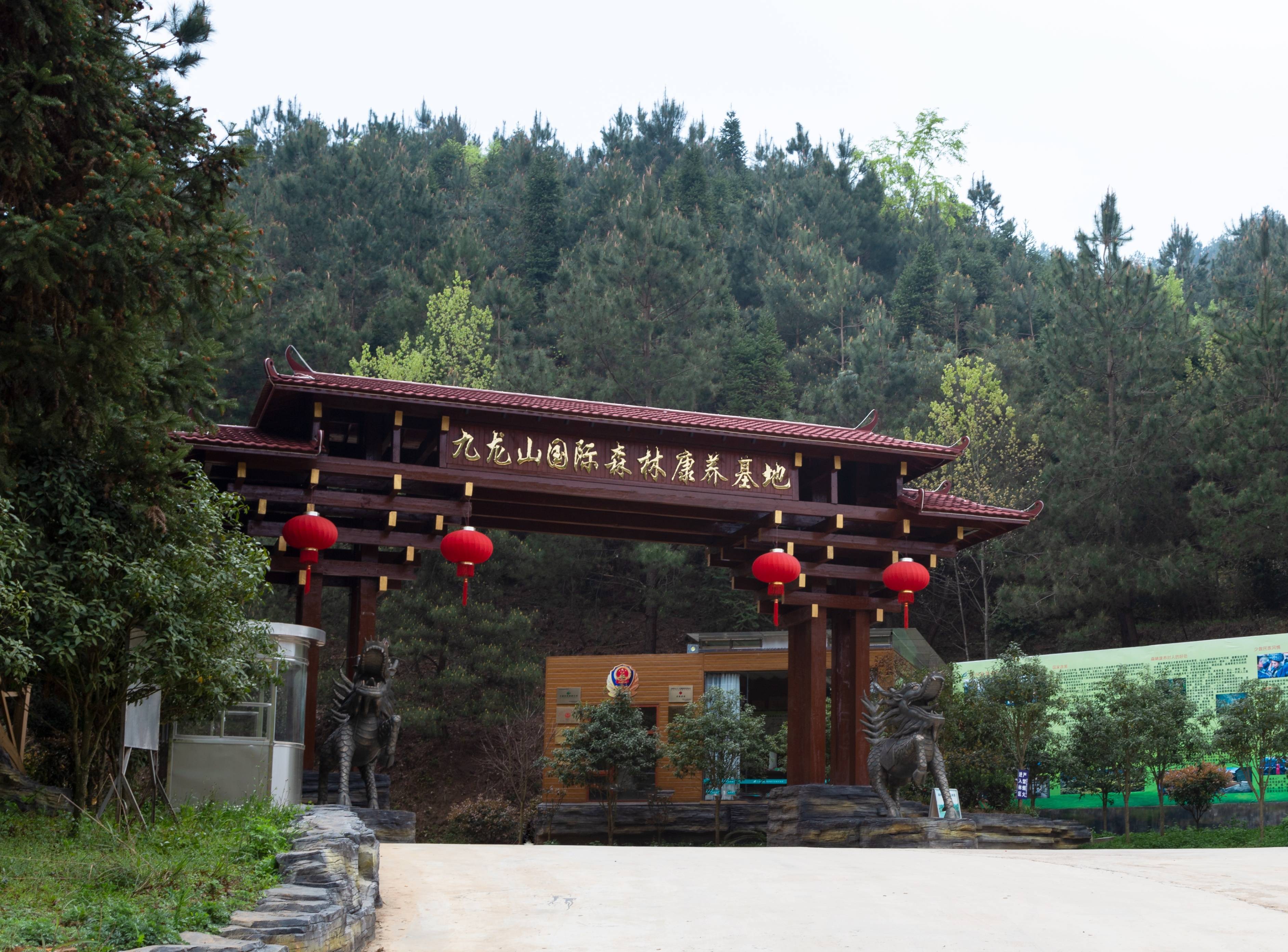 空中览胜:九龙山国际森林康养基地直升机首飞成功