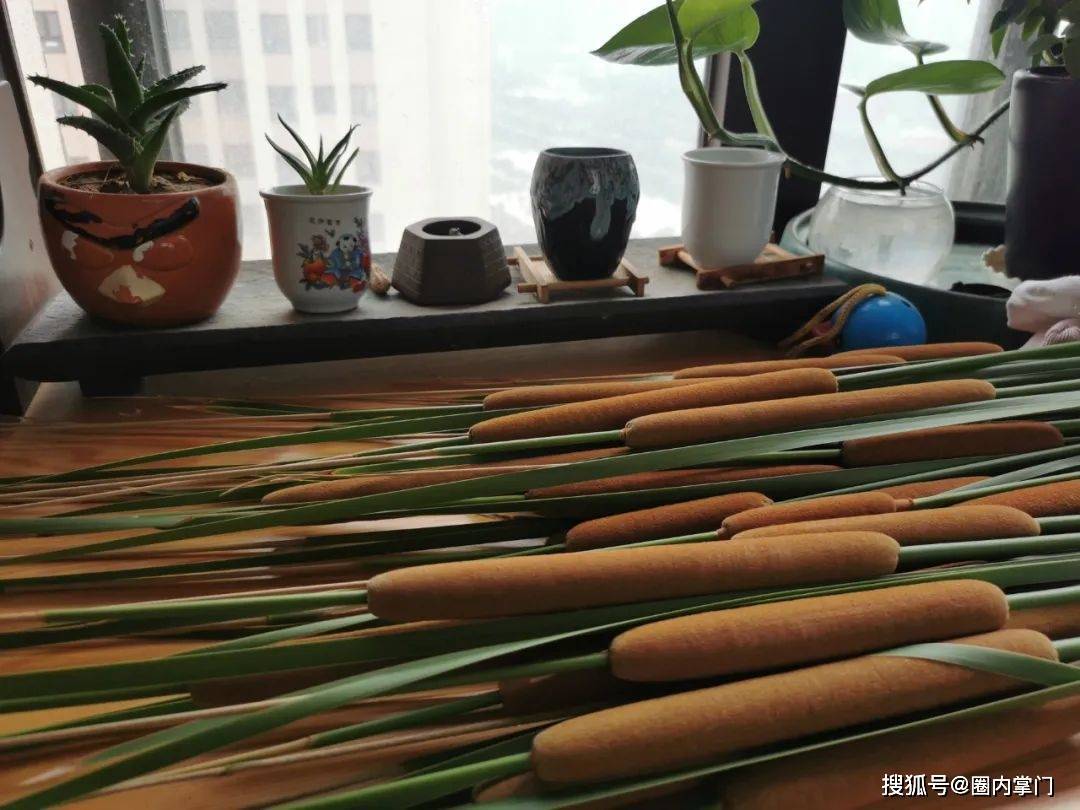 居家20多天后，越来越多的人开始烦躁，我的情绪也处在崩溃边缘_搜狐网