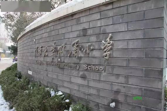 人民日报：小学欠下的 “阅读账”，迟早是要还的！（附清华附小保举书单）