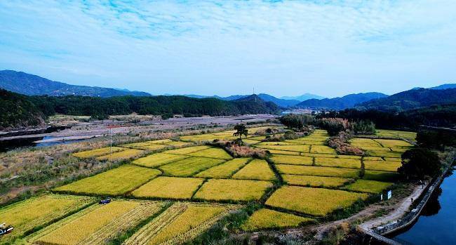 光泽县崇仁乡2022年撂荒地复耕复垦种粮项目现场验收_示范片_试点