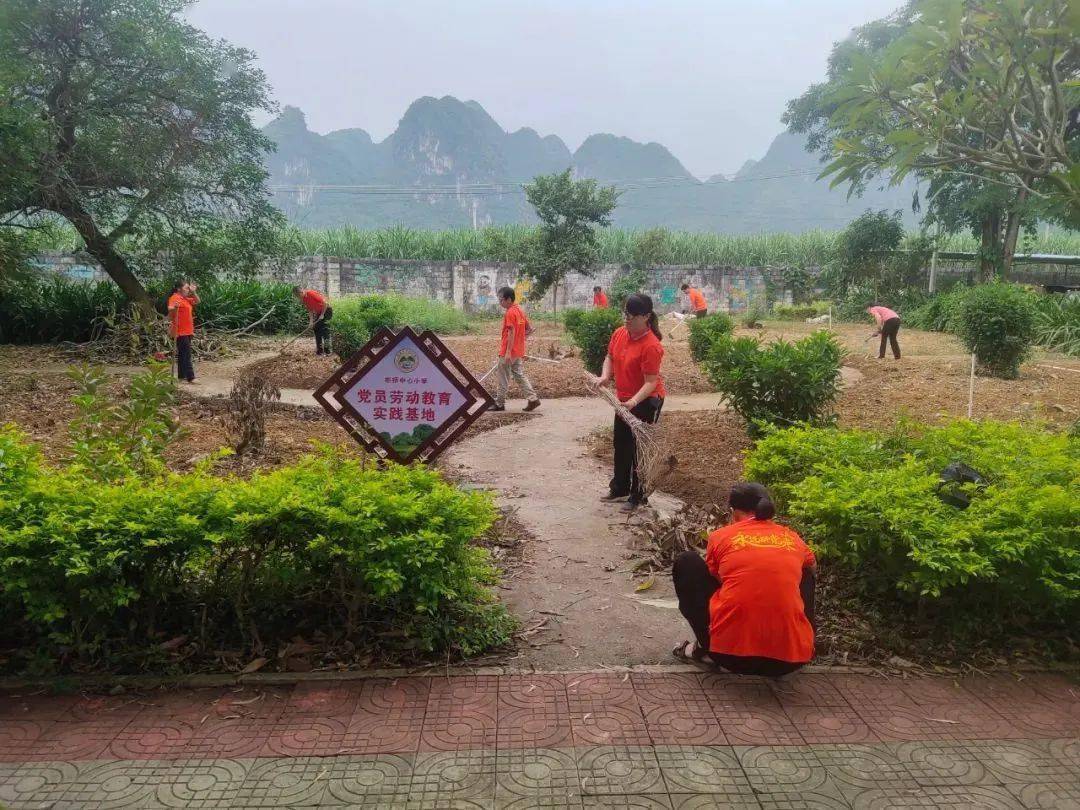 【清廉龍州建設】以勞踐廉樹清風——彬橋中心小學開展黨員勞動實踐