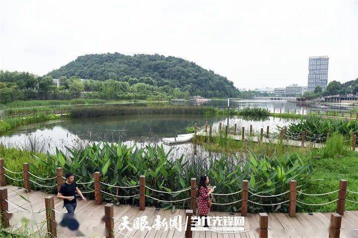 貴陽:生態之城 推窗見綠_公園_溼地_遊客