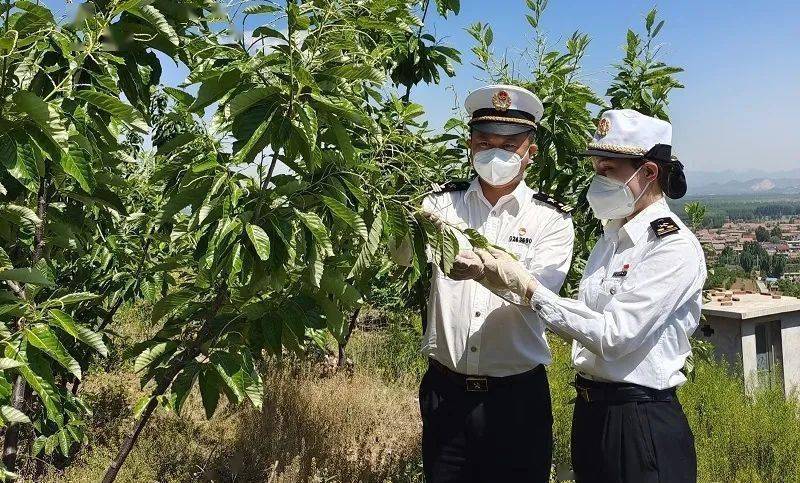 产地证注册平台_产地证注册号是什么意思_产地证注册号在哪