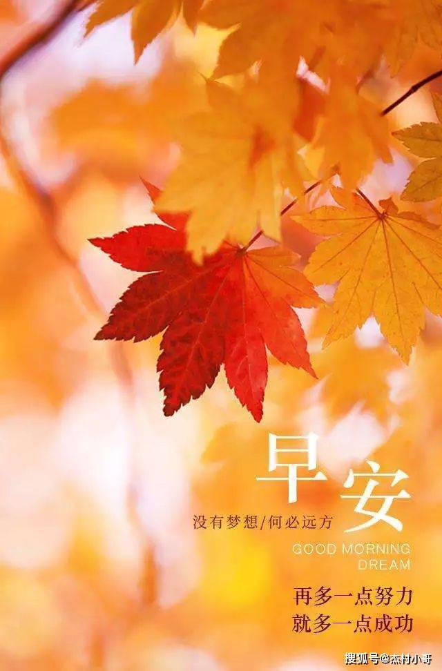 11月2日大家早上好圖片大全,早晨問候語唯美圖片問候關心的話_人生