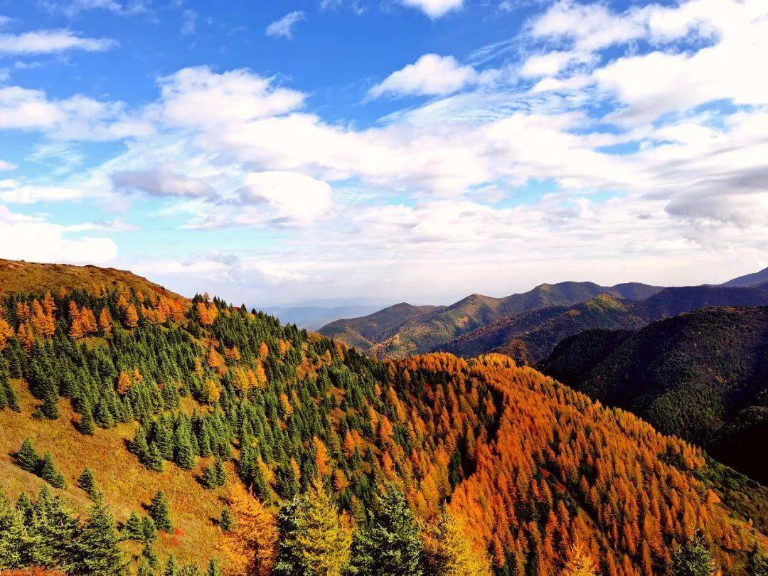 学习宣传贯彻落实党的二十大精神|为大地披绿装 扮六盘新容颜_六盘山