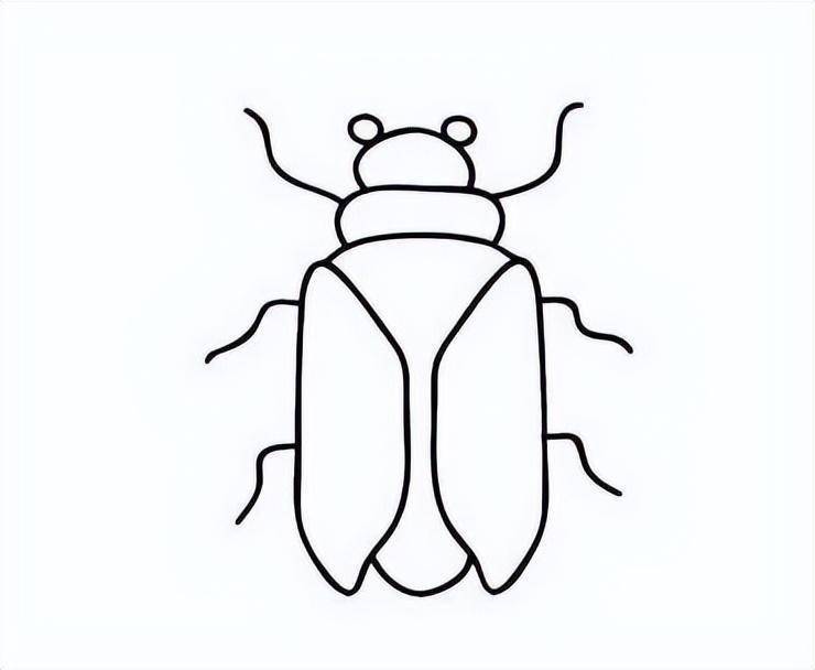 哲学界的十二神兽_甲虫_庄子_科学