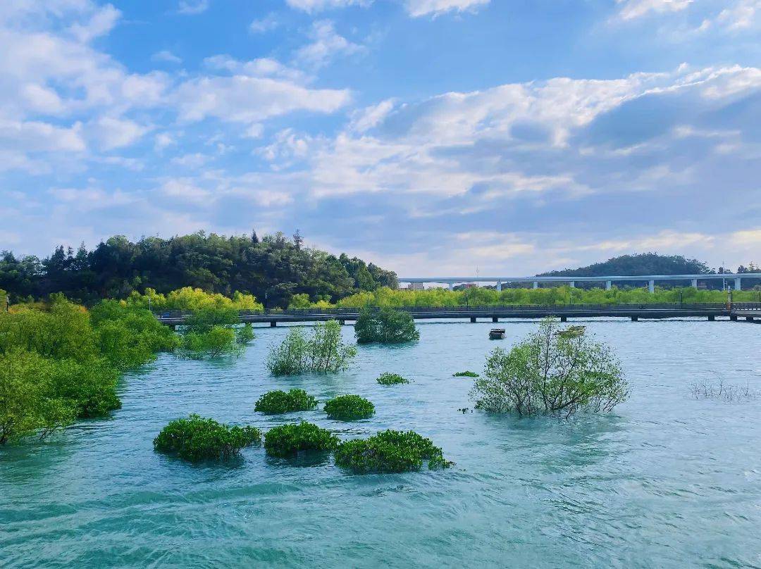 翔安下潭尾湿地公园,满眼皆是风景!