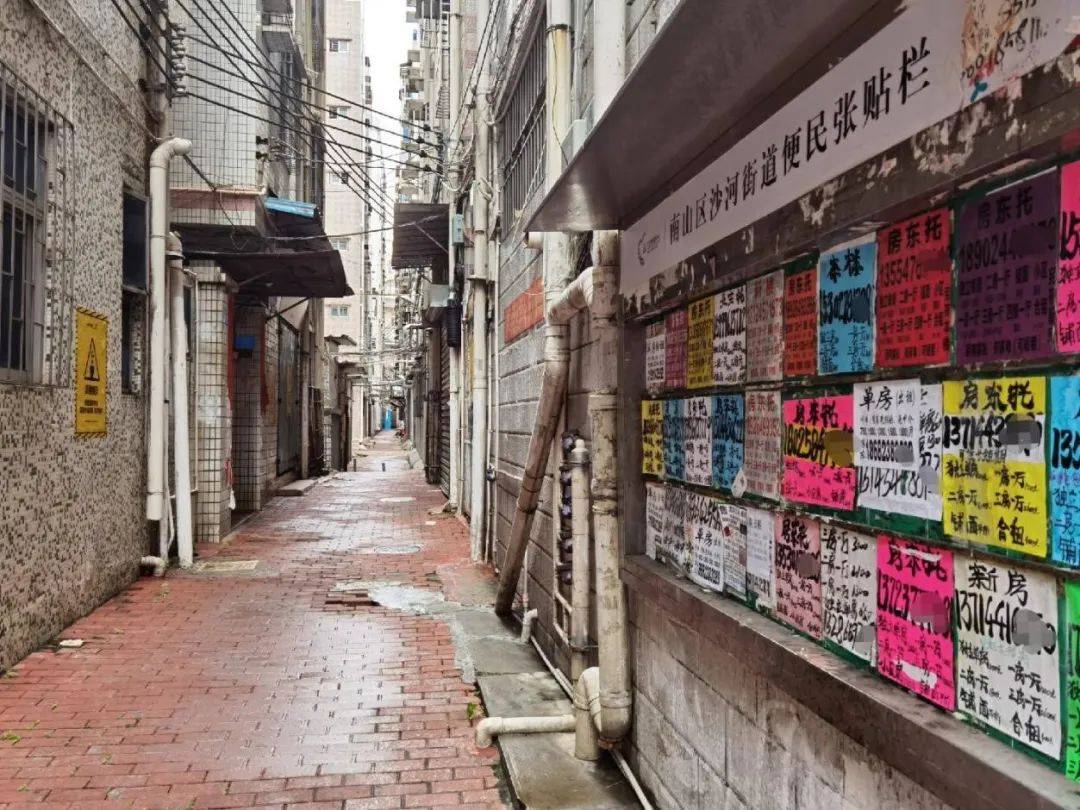 深圳打工人的苦乐,搬家小哥都知道_城中_年轻人_小区