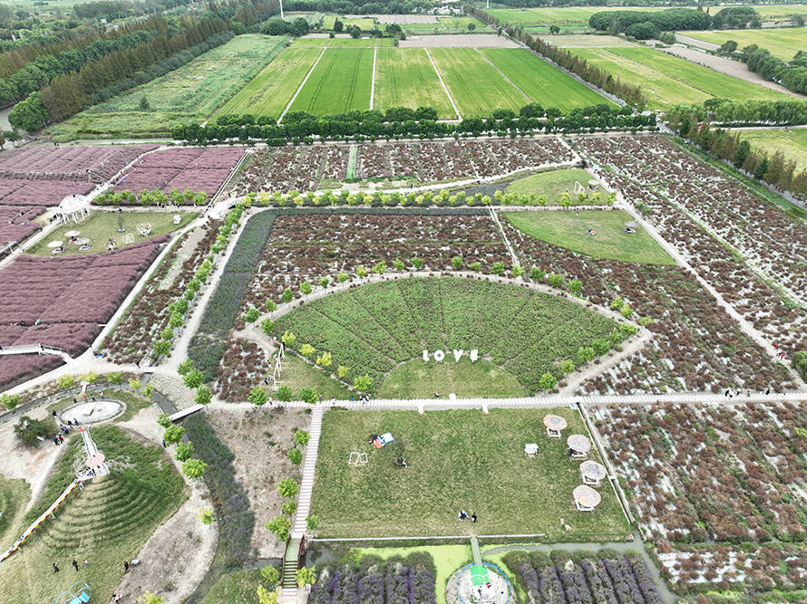 大疆Mavic 3 Classic无人机评测 哈苏大底相机与专业航拍体验壮大御3家族