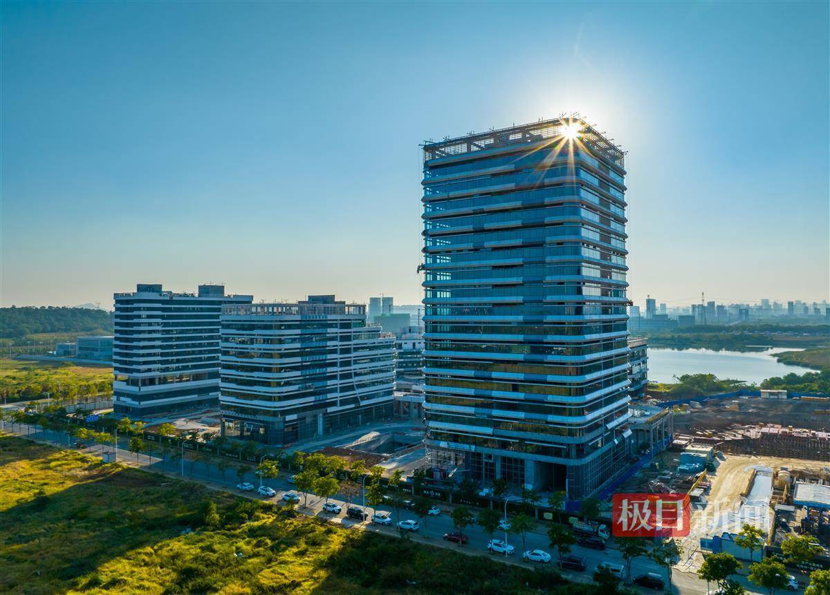 武汉市东湖高新区获批国家进口贸易促进创新示范区_发展_商品流通_宋枕涛