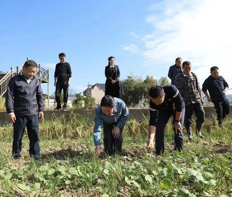 横峰县委书记潘俐,县长陈元,铅山县委副书记徐彦峰分别陪同.