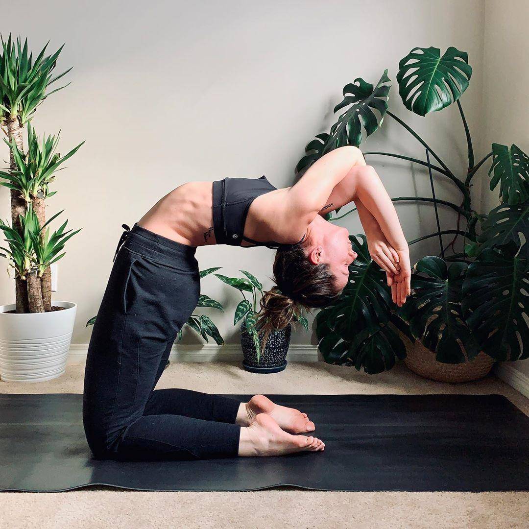 成名已久的姚晨,身高腿长演技好,实在是不可多得的好演员_瑜伽_体式