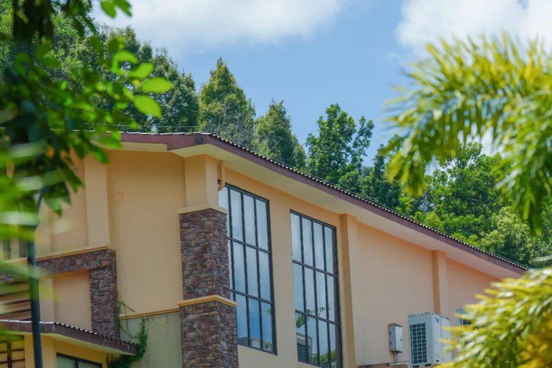 在海南五指山的旅居生活,爱了爱了!_热带雨林_水满乡_度假