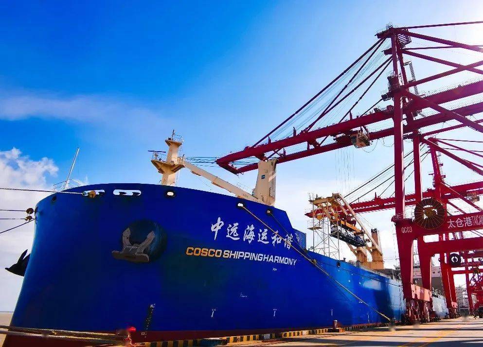 中远海运特运商品车出口专班拓展至地中海航线丨航运界_搜狐汽车_搜狐网