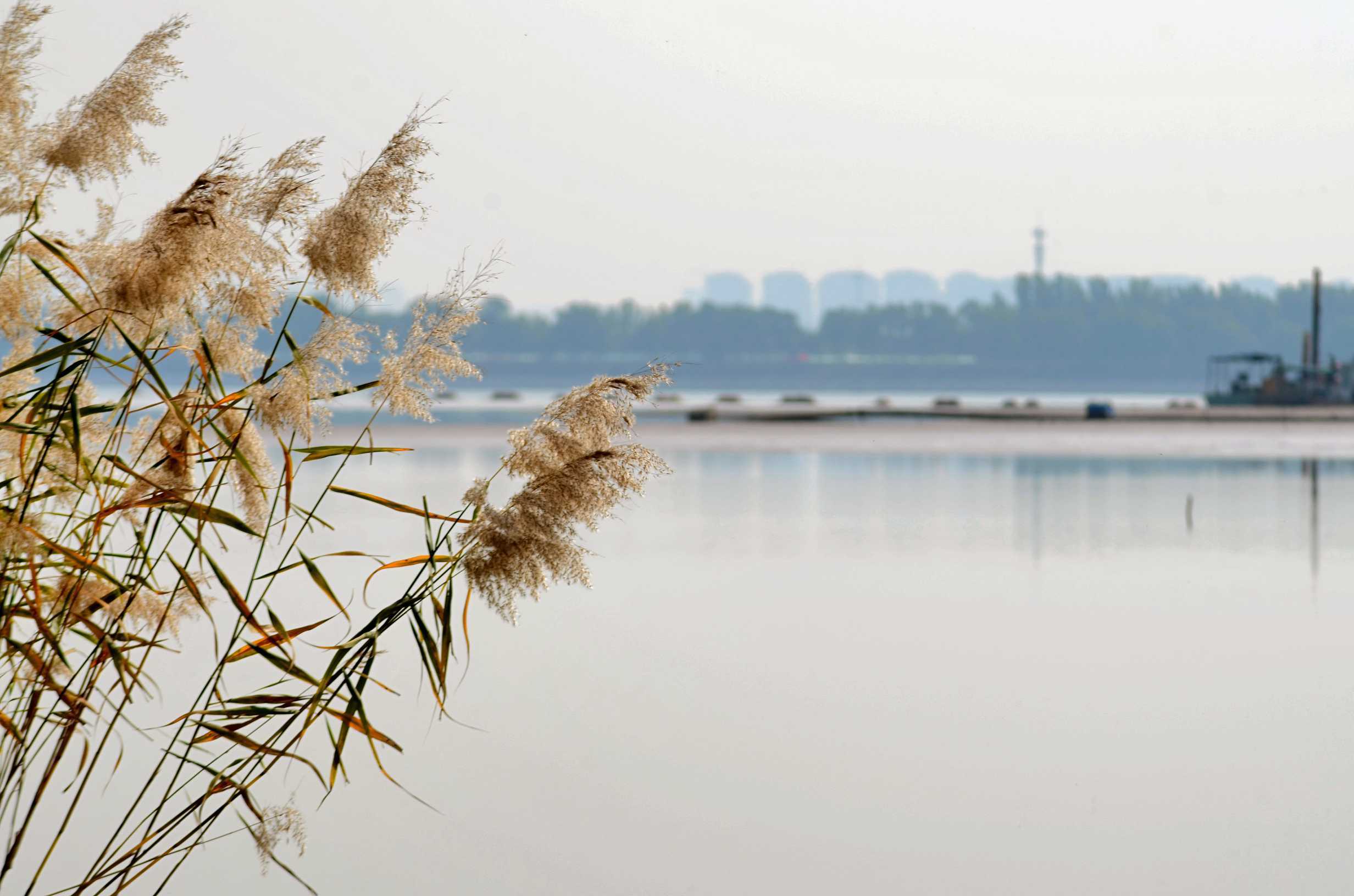 济南玉清湖周末秋景如诗静谧安然_情报员_齐鲁_阳光霞