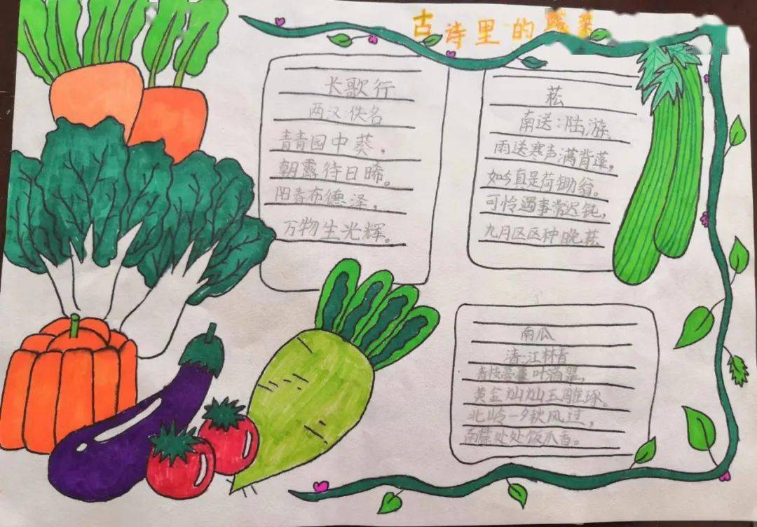 太不可思议了吧!数学绘本《最棒的蔬菜》融入了数学元素