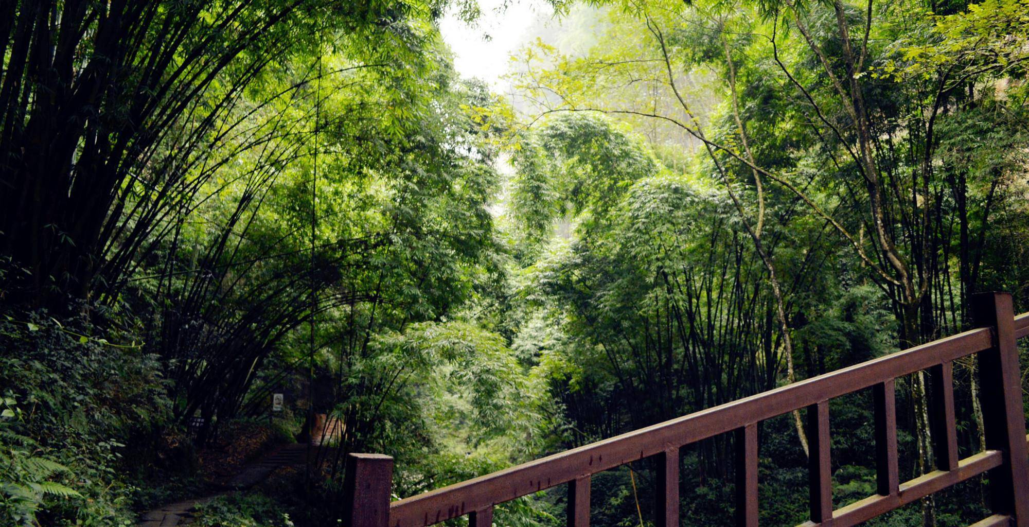 邛崃旅游景点有哪些？那几个景点值得一游，有山有水有古镇