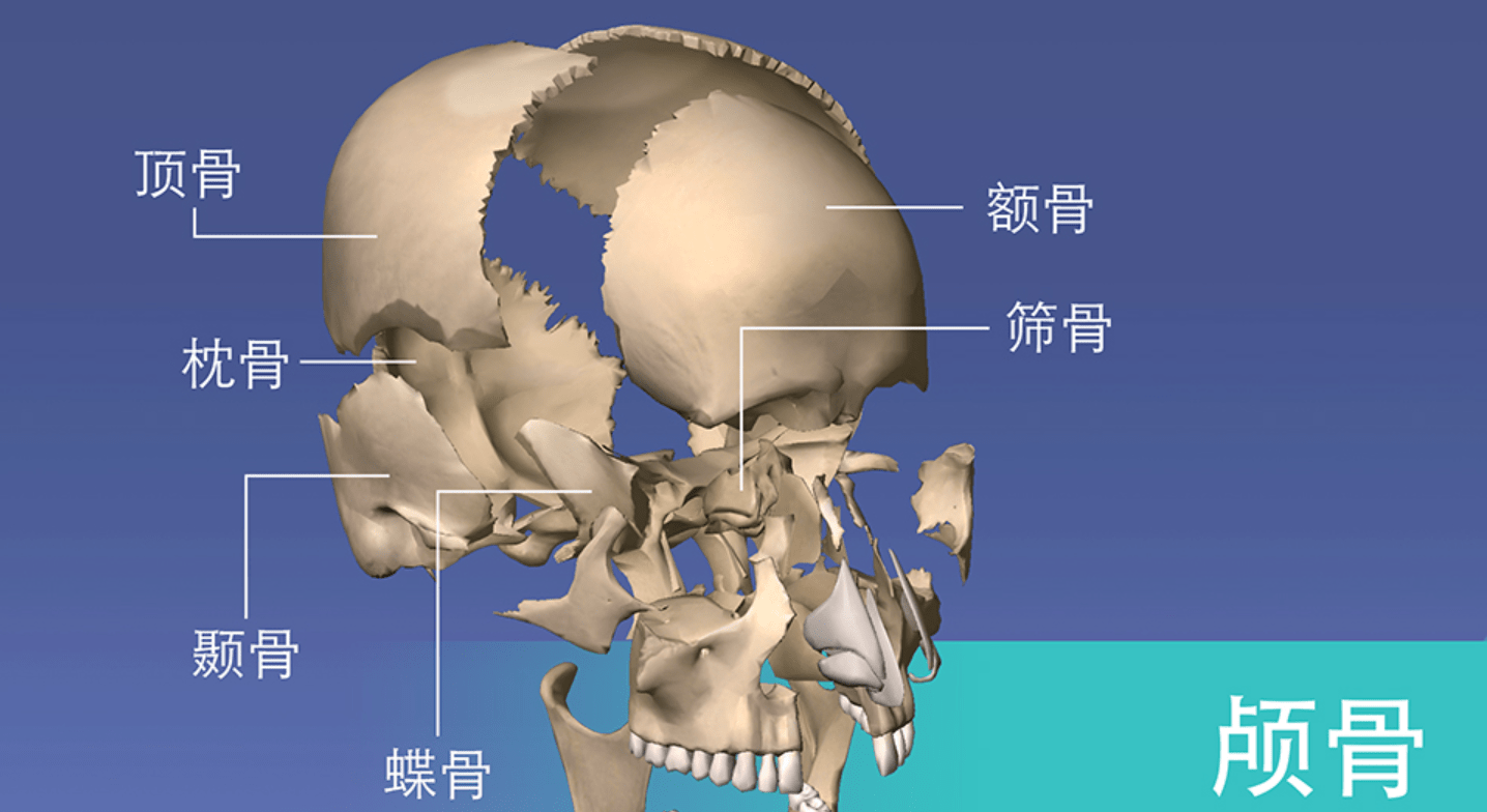 无限繁殖力造出史上最大克隆体,一种日本植物,已把