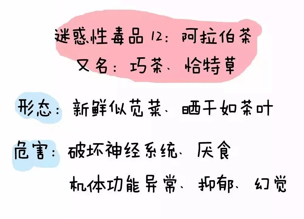 【禁毒宣传进万家】禁毒常识小课堂