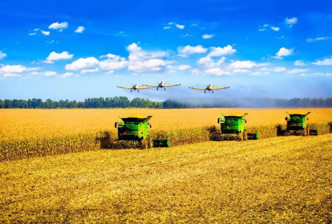 "我眼中的北大荒"摄影大赛参赛作品展示(第四期)_普阳农场_粮仓_建设