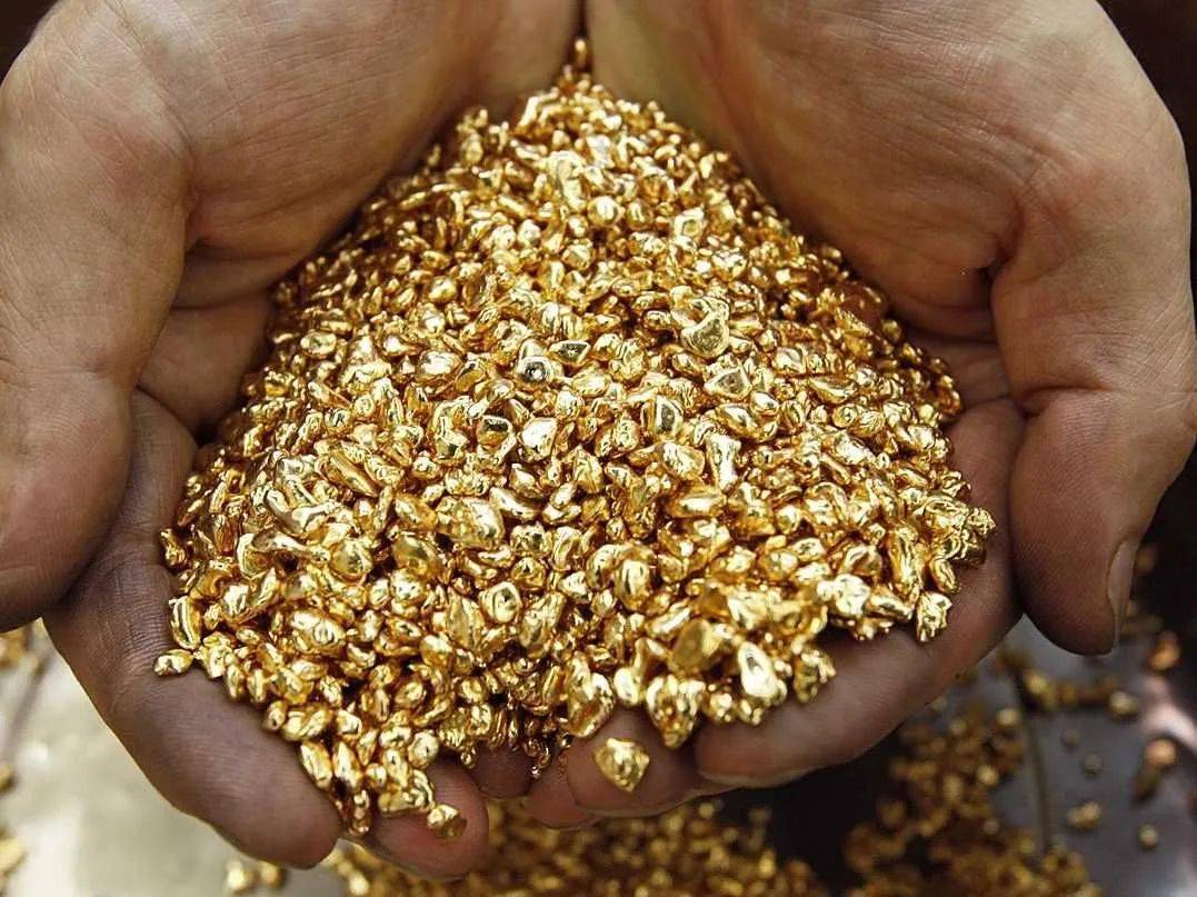 南非政府没收900万兰特非法金条_黄金_飞鹰_价值