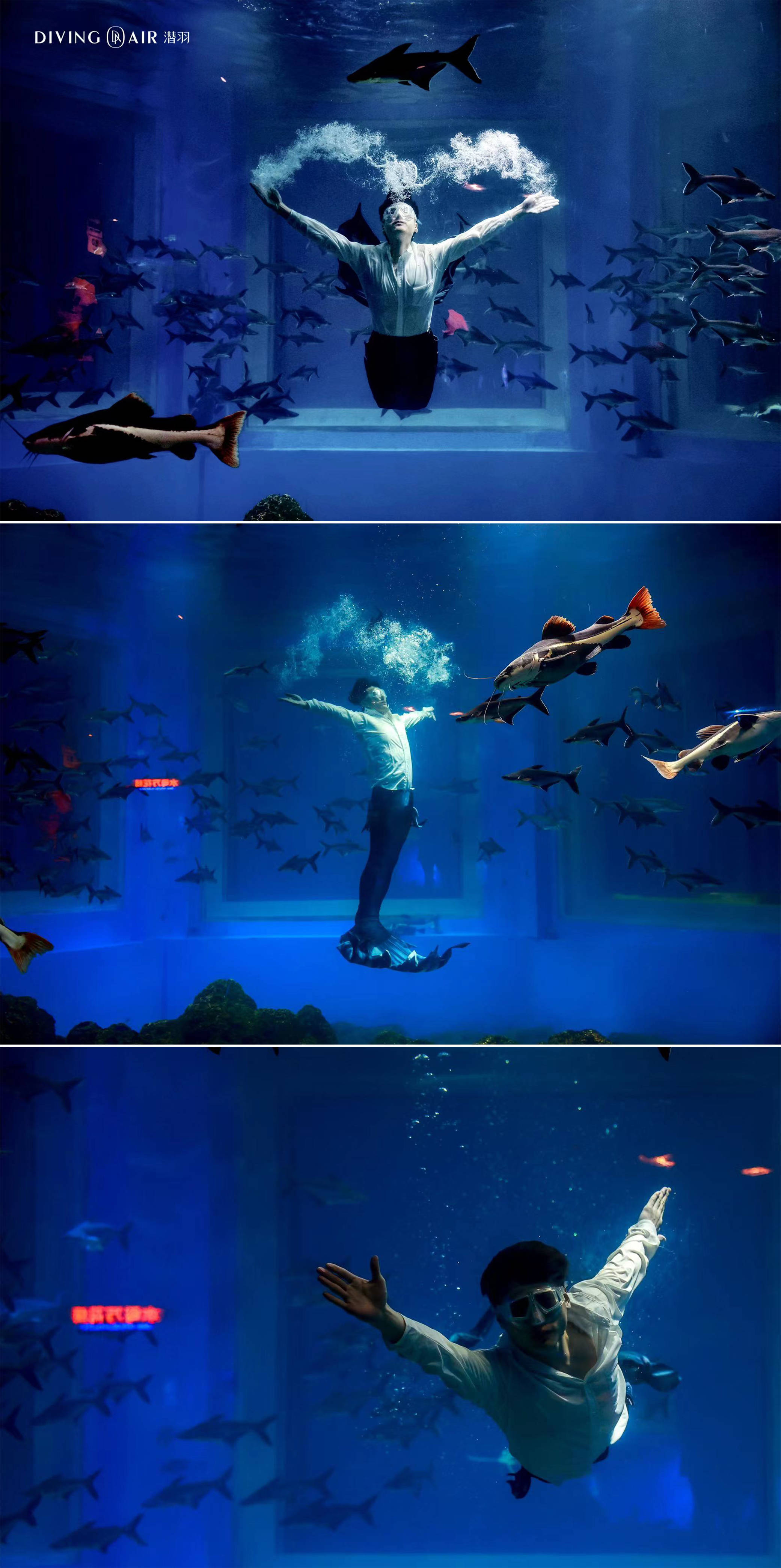 打破传统,刚柔并济丨国产男美人鱼,充满力量的阳刚大美