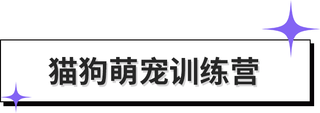 双十一抄功课！绝绝子！！