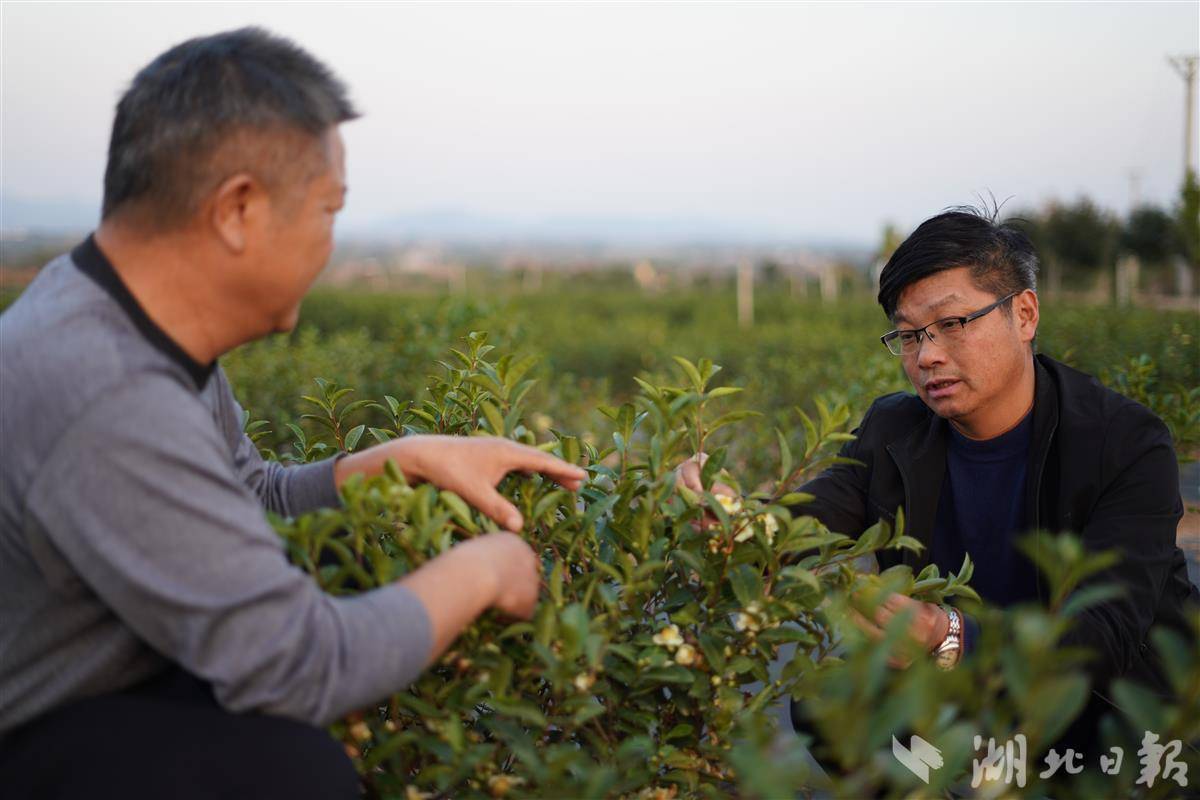 奉化栖凤村简介图片