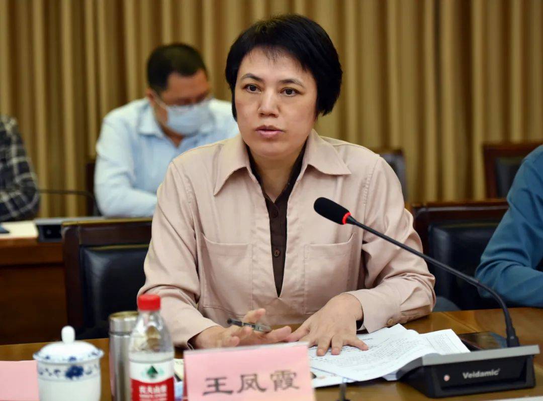 厚街镇镇委委员王凤霞讲话厚街镇镇委委员王凤霞认真听取了高层次