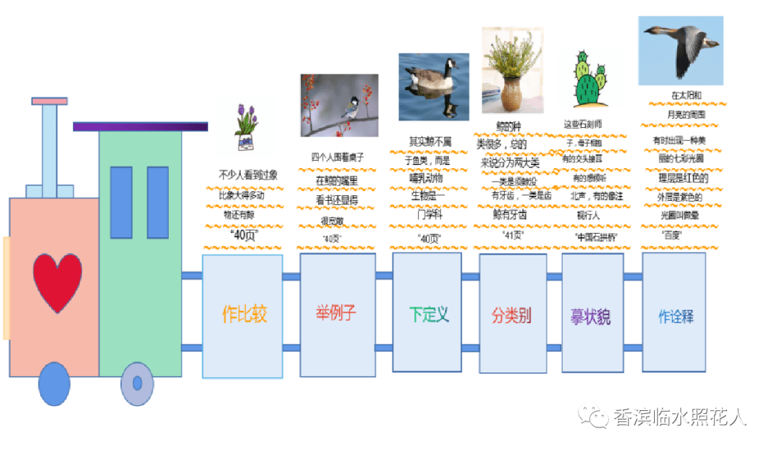 我的心爱之物结构图图片