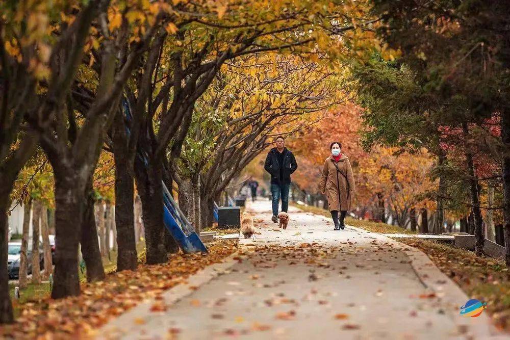 有一种幸福，叫我在莱西！