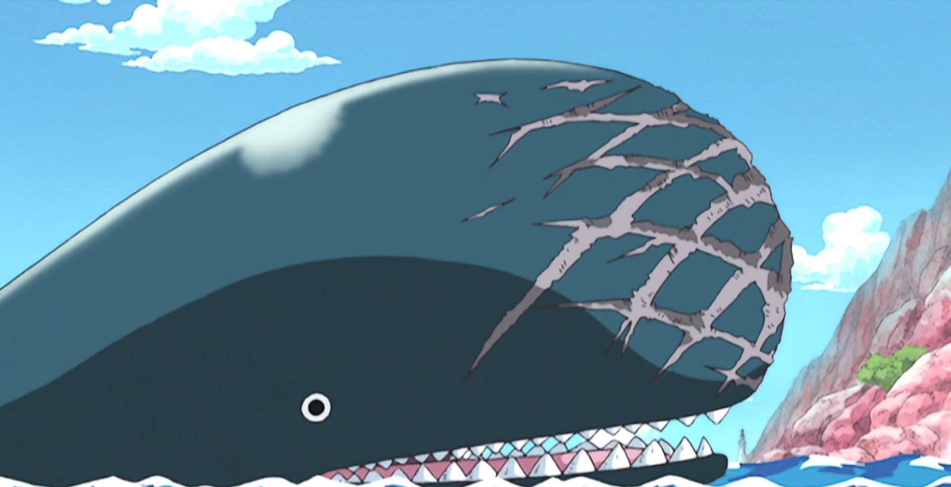 海贼王:龙与萨博,布鲁克与拉布证明了"有缘千里来相会"的俗语_路飞