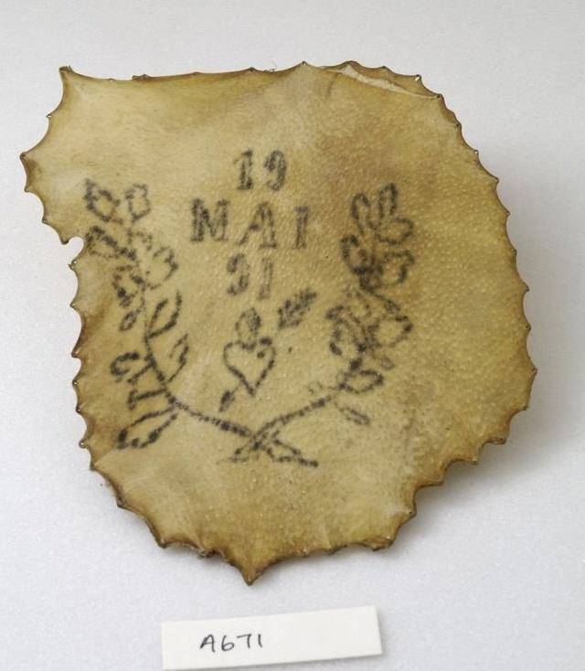 蛇蝎美人,人称"布痕瓦尔德母狗","人皮夫人",其嗜好是收集人皮_伊尔斯