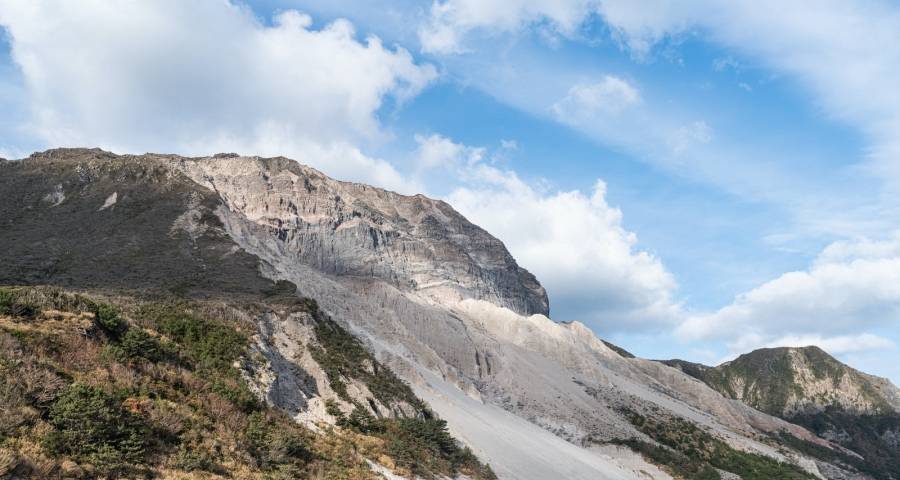 家电双11“渡劫”，海尔美的只争第一，华帝美博万家乐奋战体育-家电圈官网