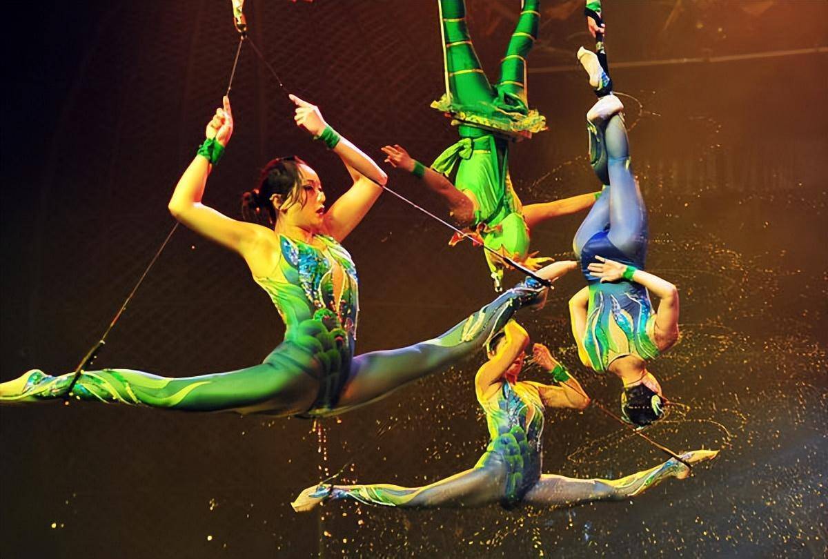 难度打破世界纪录摘得"金菊奖",河南杂技迈向综合演艺人才培养之路丨