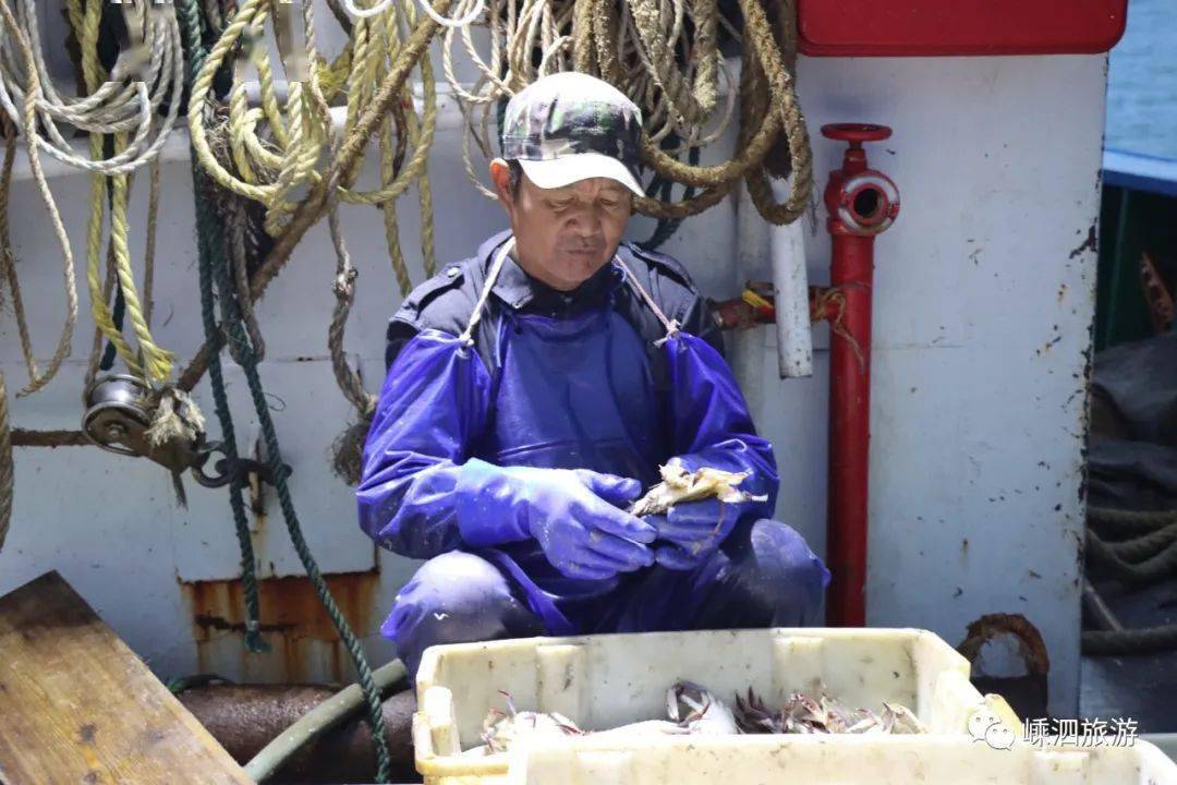 黃魚雖然天亮了,但漁家兄弟可沒到下班時間天氣這麼好,正好繼續幹活再