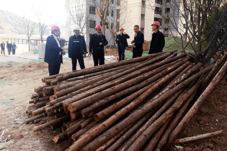 近日,延安市森林病蟲害防治檢疫站聯合寶塔區林業站到姚店高新區