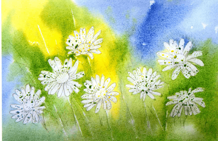 水彩画练手|山菊花_颜色_背景_中黄