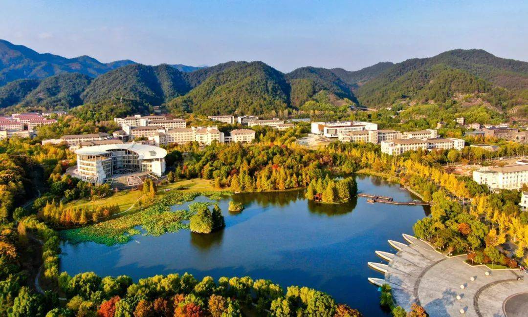 【农院·转载】金色之约!浙江农林大学的银杏永远不会辜负秋天_作品_