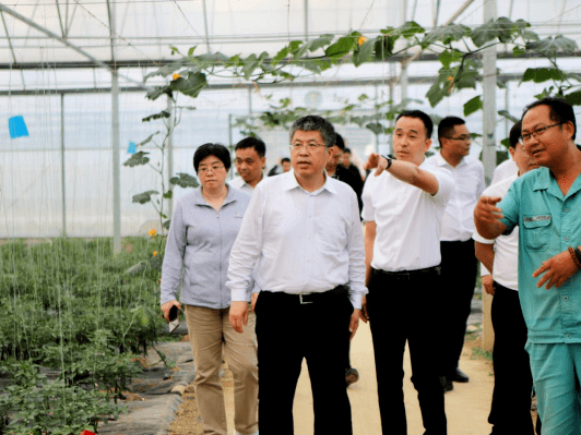 科技部副秘书长贺德方一行赴井冈山市,永新县调研并召开定点帮扶工作