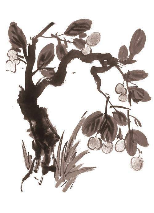 李树和它的主人_李树虽_李子_时候