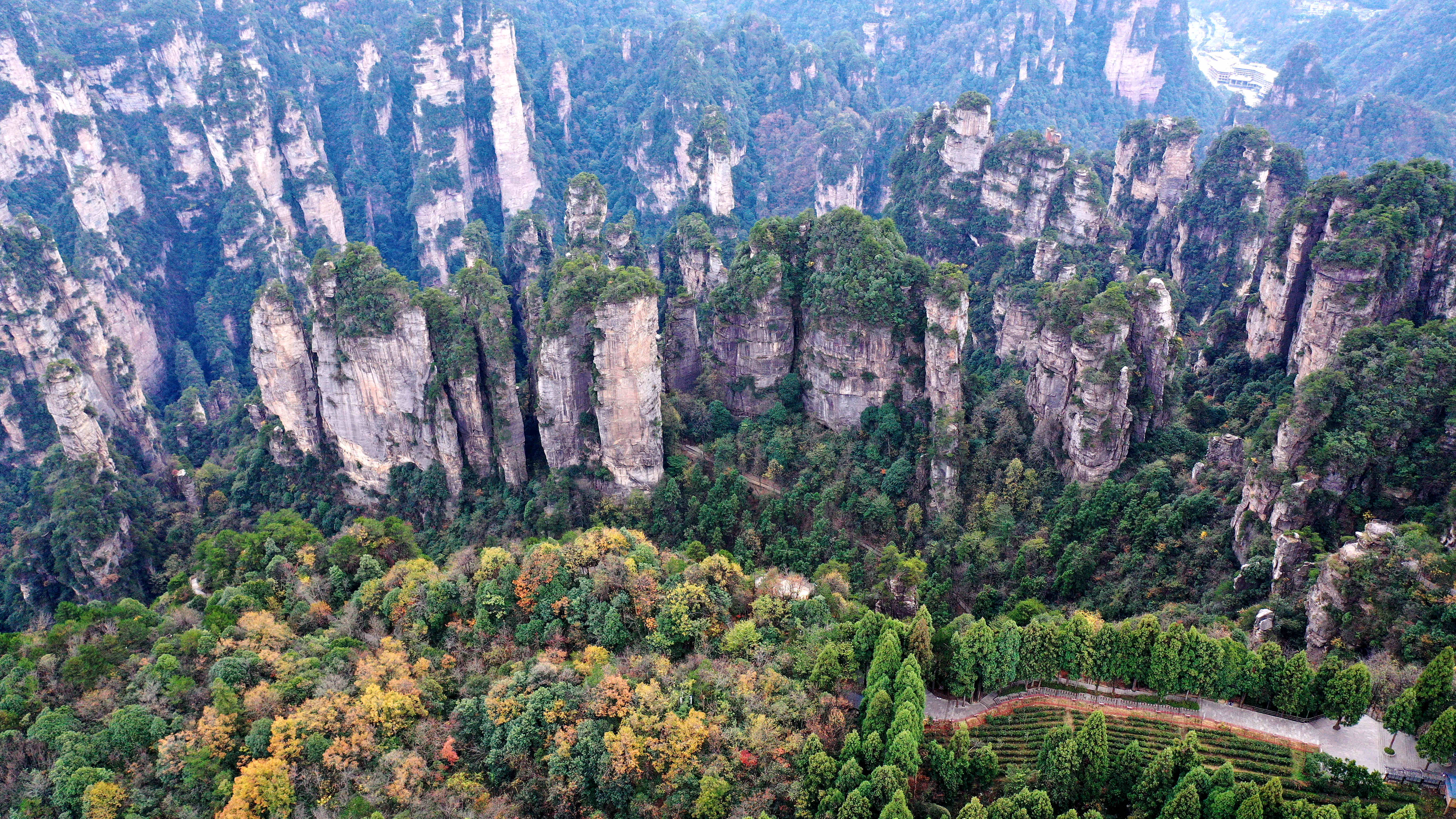 张家界黄石寨景区介绍图片