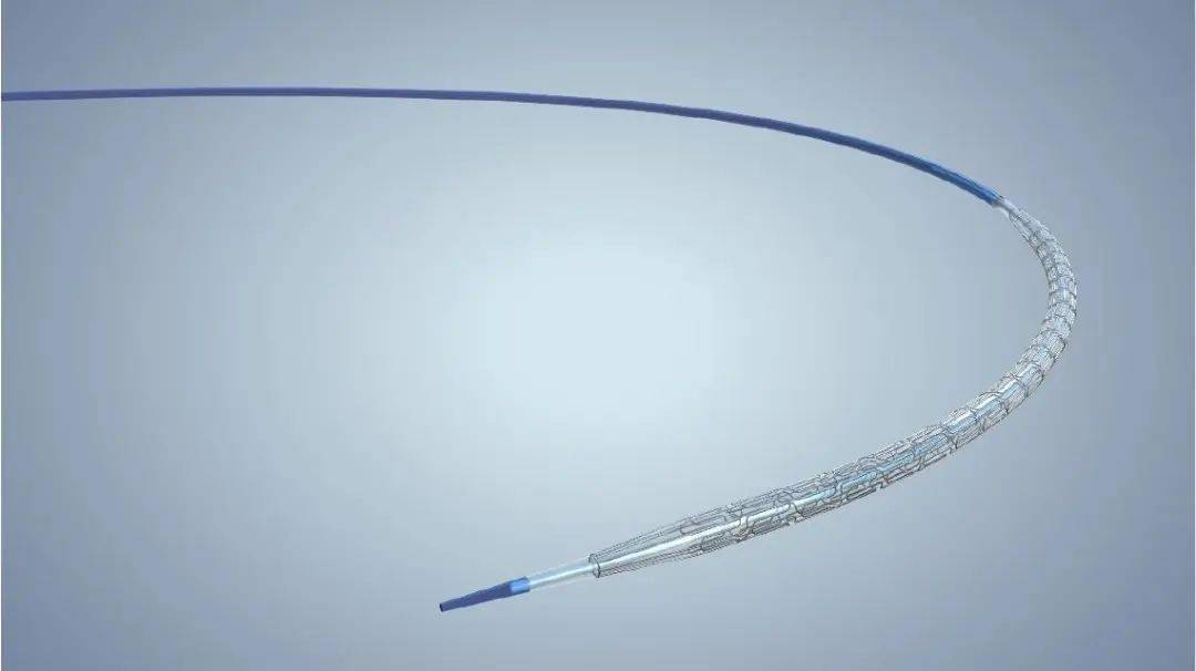 touch药涂巧克力球囊(紫杉醇药物涂层外周球囊导管)近日已获得fda批准