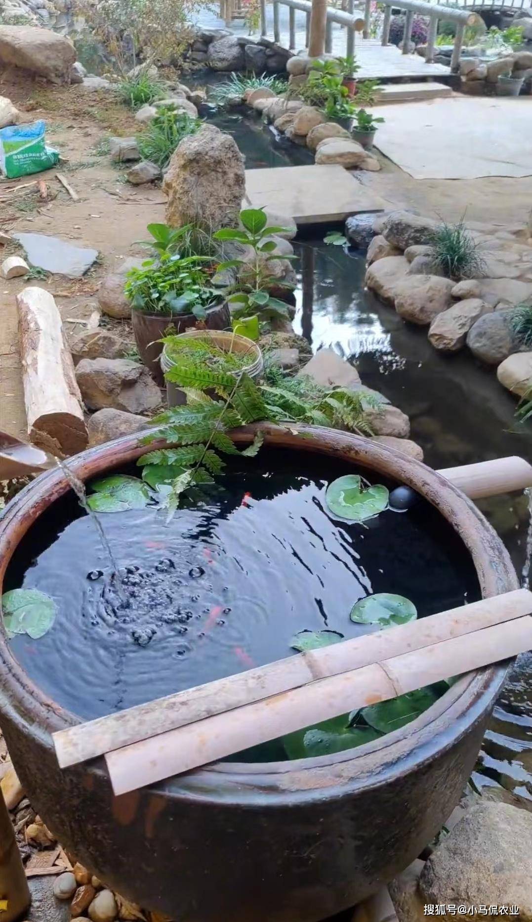 小哥院中8个竹筒造生态鱼缸,下养鱼上种菜,流水瀑布材料全靠捡