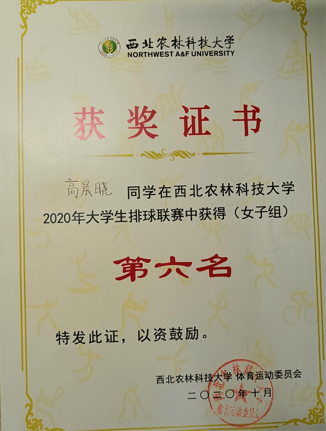 大学期间,考取了高中生物教师资格证,计算机二级证明,普通话证明并