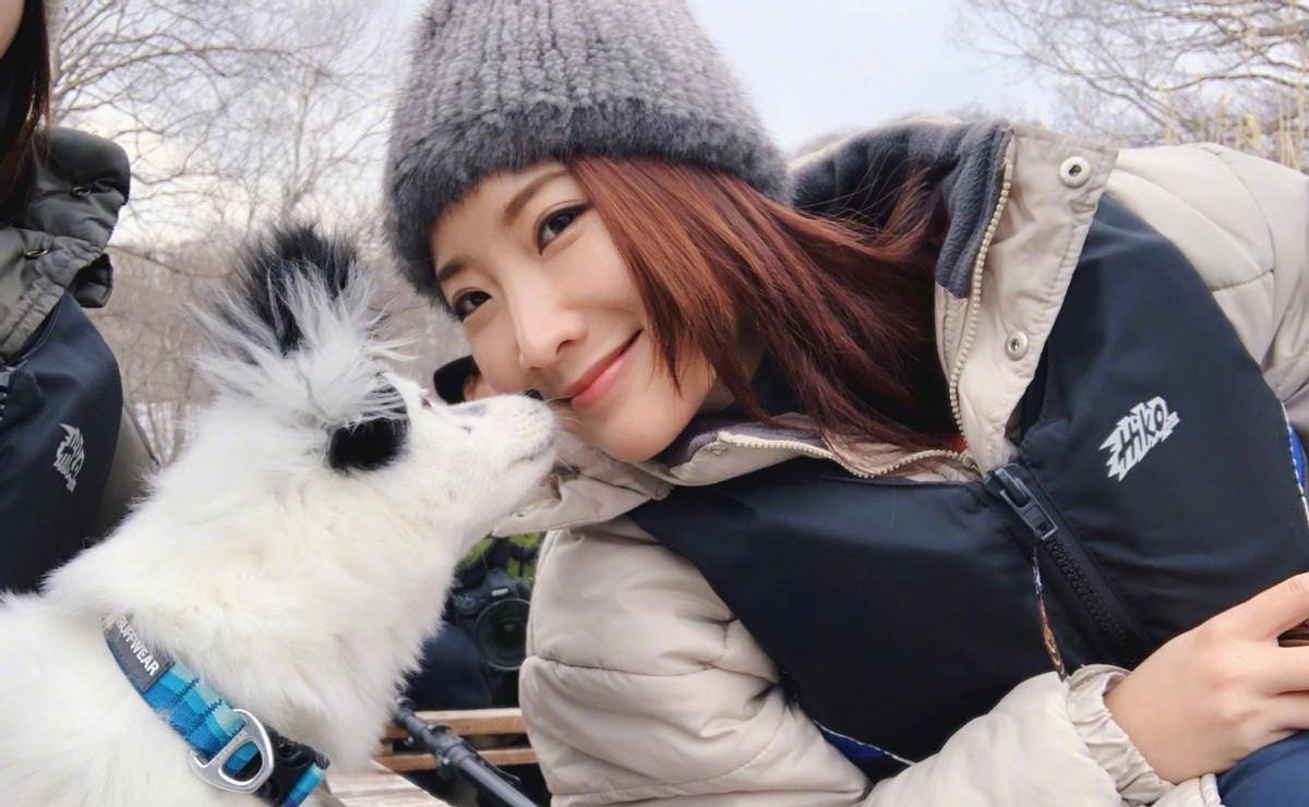 陈赫前妻许婧:相爱10年换来一句"各自安好",她真的能释怀吗?