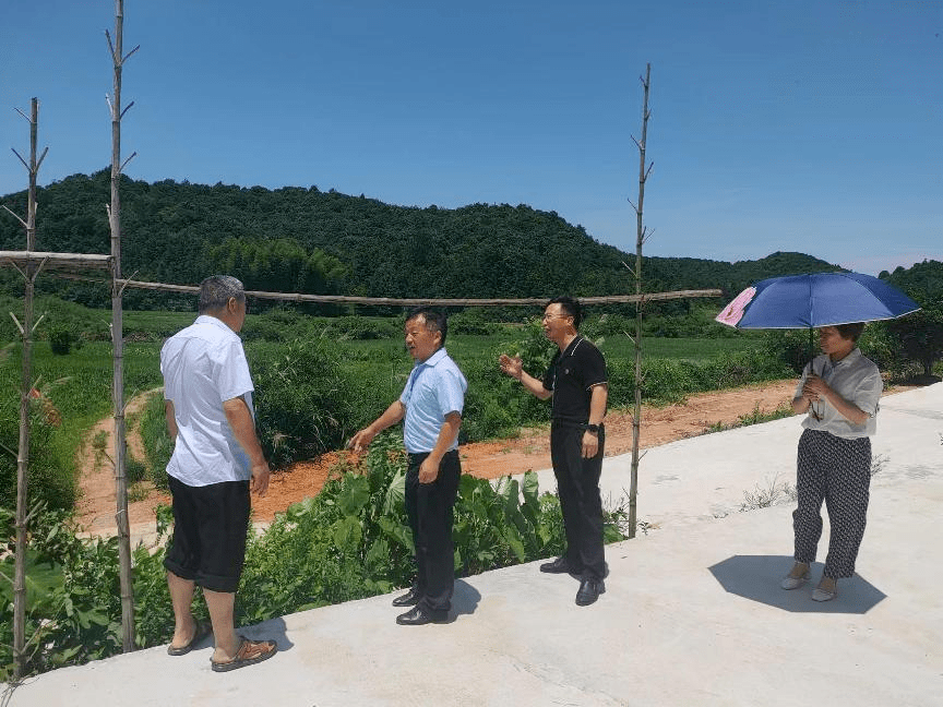 【乡镇人大】丰城市淘沙镇人大:以人民为中心, 大力发展"全过程人民