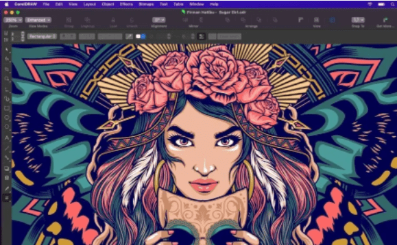 coreldraw 2023终身永久版下载矢量图形制作工具 永久使用 cdr常用